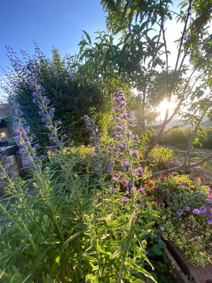 La Maison Du Potager Saint-Racho Eksteriør billede