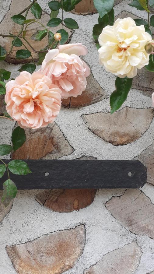 La Maison Du Potager Saint-Racho Eksteriør billede