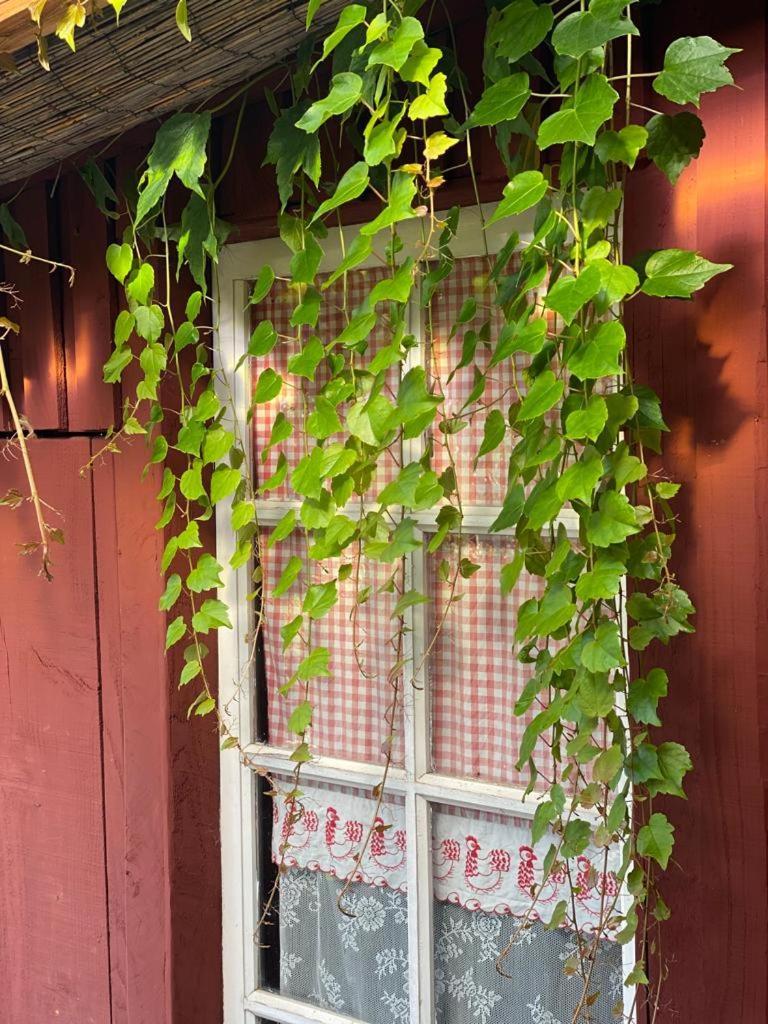 La Maison Du Potager Saint-Racho Eksteriør billede